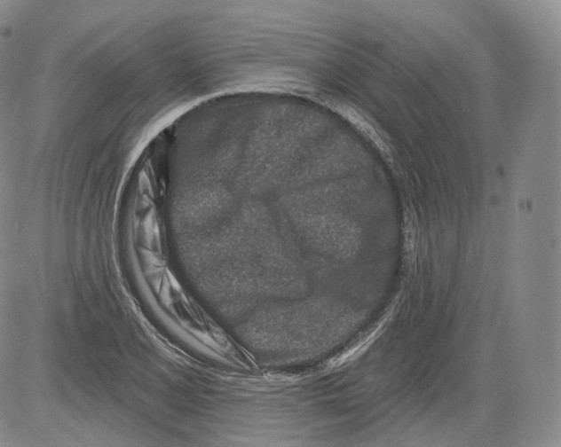 X0000082761077200702240058