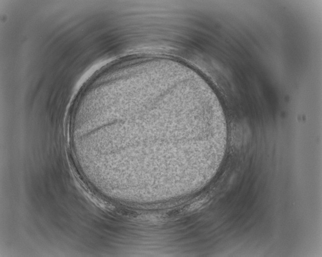 X0000082761078200702240058