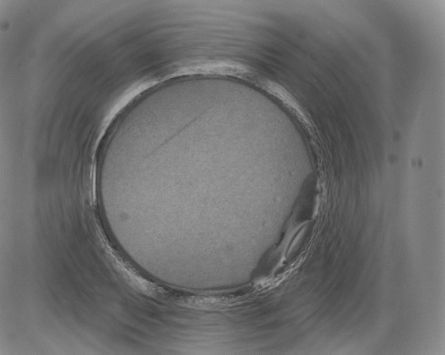 X0000082761079200702240058