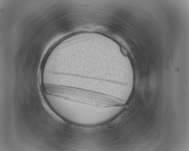 X0000082761080200702240058