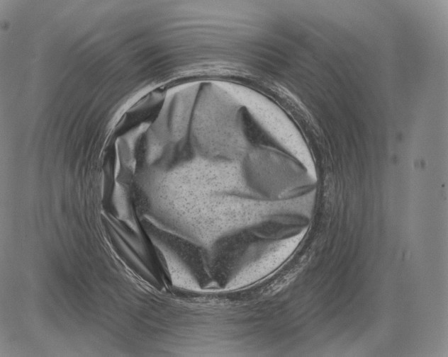 X0000082761081200702240058