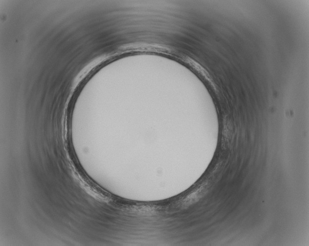 X0000082761082200702240058