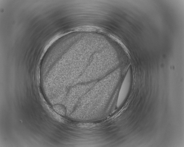 X0000082761083200702240058