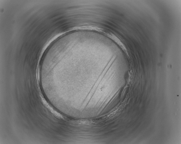 X0000082761084200702240058