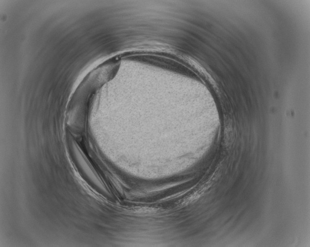 X0000082761085200702240058