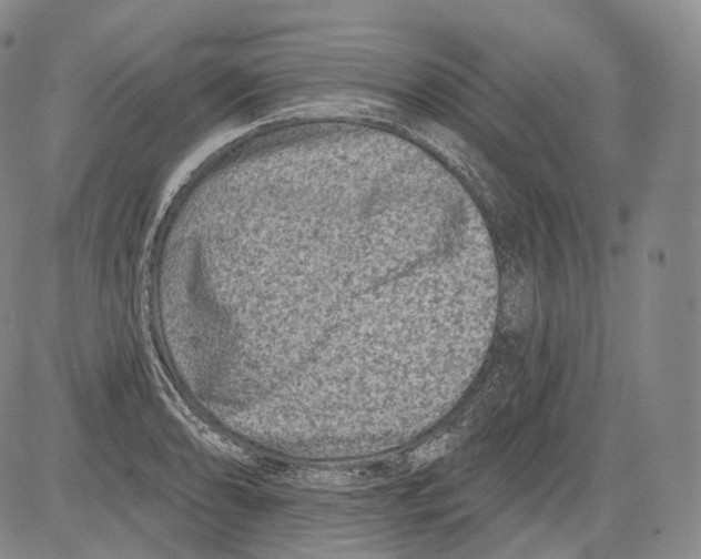 X0000082761086200702240058