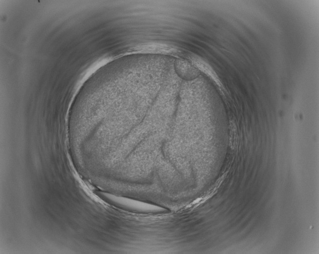 X0000082761087200702240058