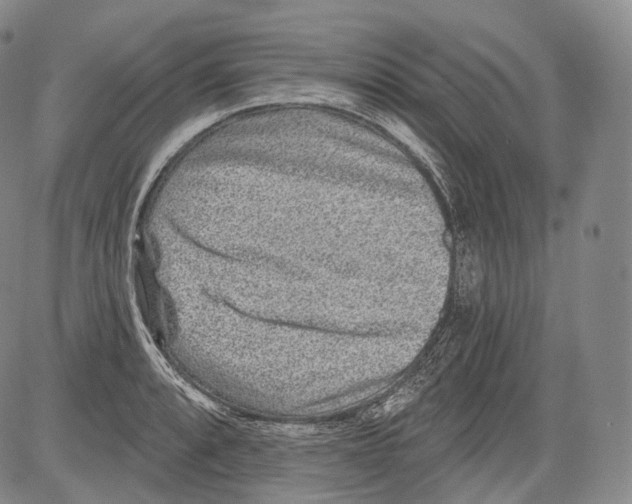 X0000082761088200702240058