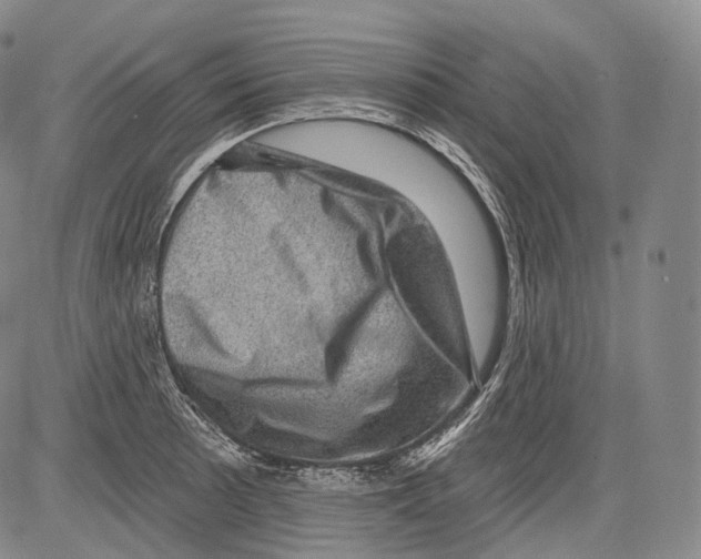 X0000082761089200702240058