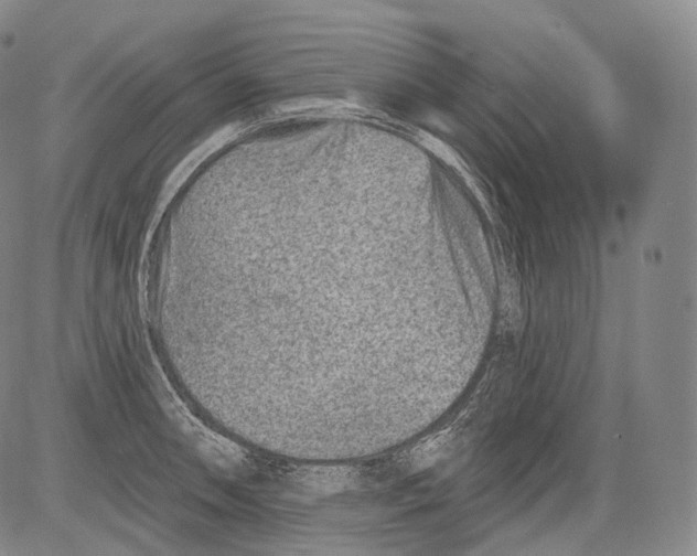 X0000082761090200702240058