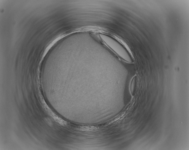 X0000082761091200702240058