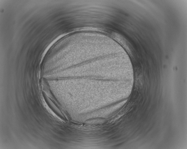 X0000082761092200702240058