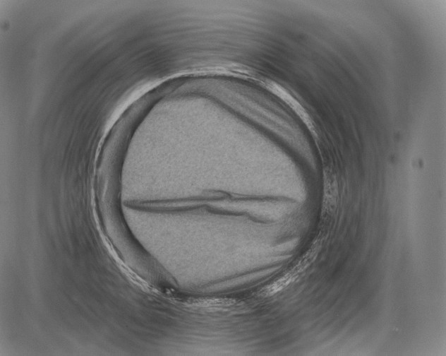 X0000082761093200702240058