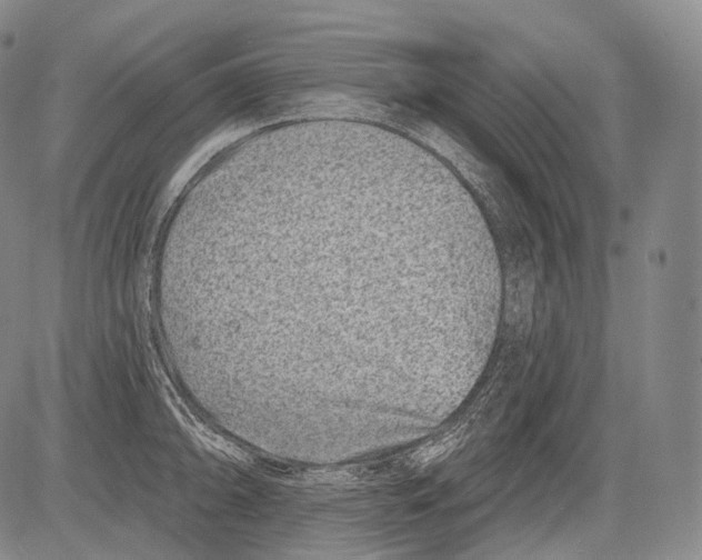 X0000082761094200702240058