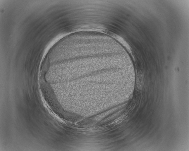 X0000082761096200702240058