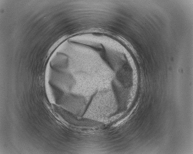 X0000082761097200702240058