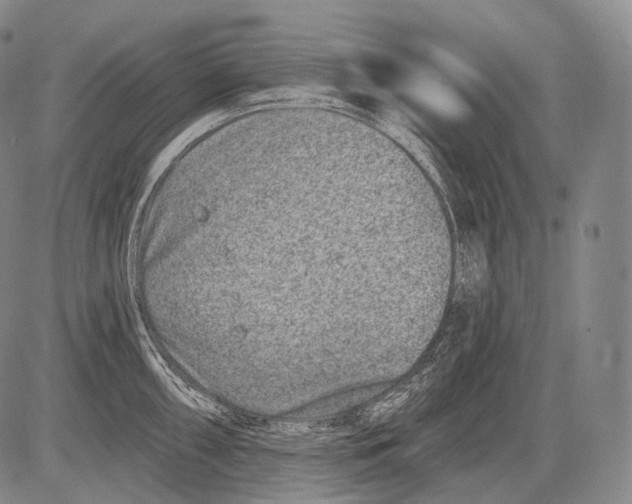 X0000082761098200702240058