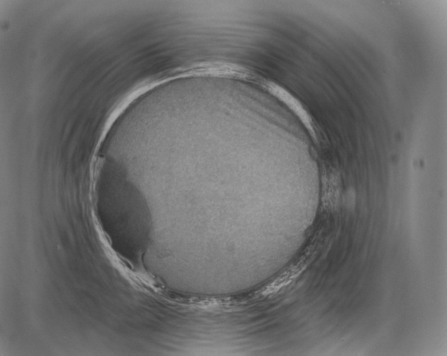 X0000082761099200702240058