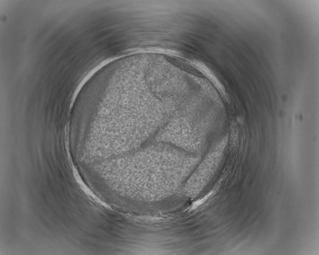 X0000082761100200702240058