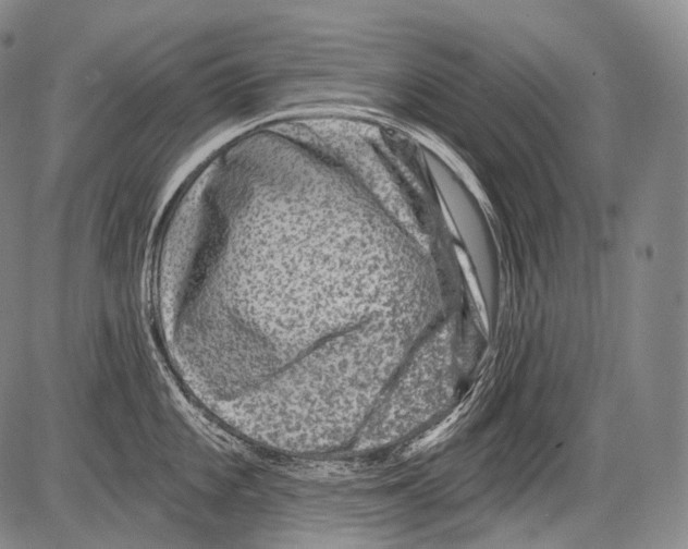 X0000082761101200702240058