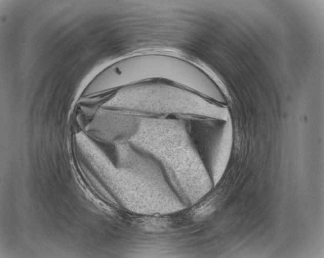 X0000082761102200702240058