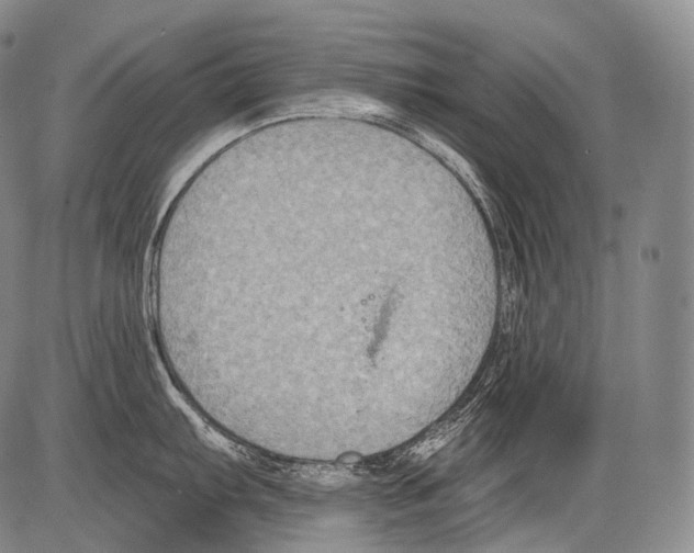 X0000082761103200702240058