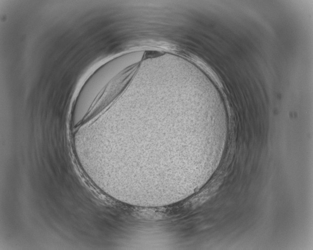 X0000082761104200702240058