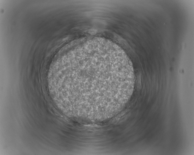 X0000082761105200702240057