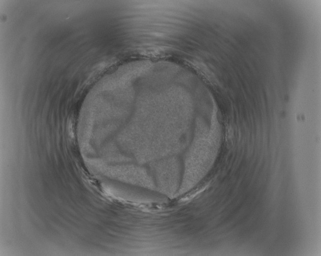 X0000082761106200702240057