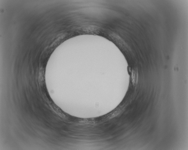 X0000082761107200702240057