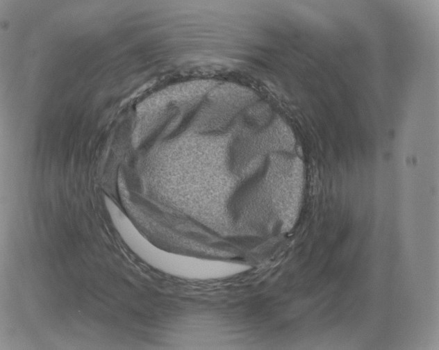 X0000082761109200702240057