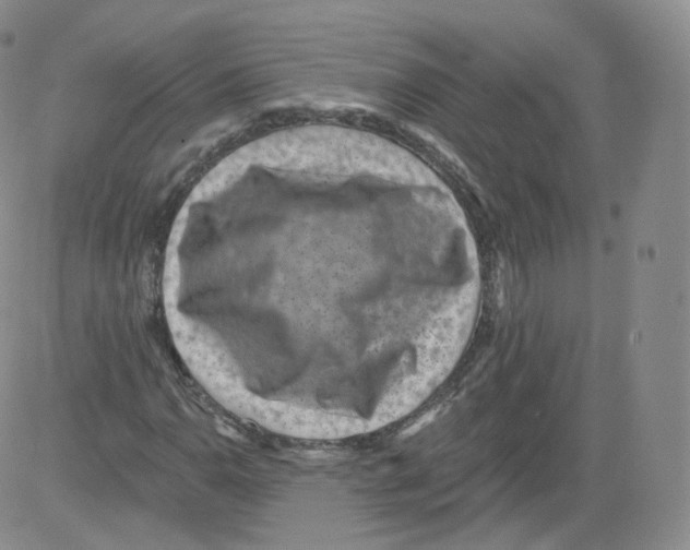 X0000082761110200702240057