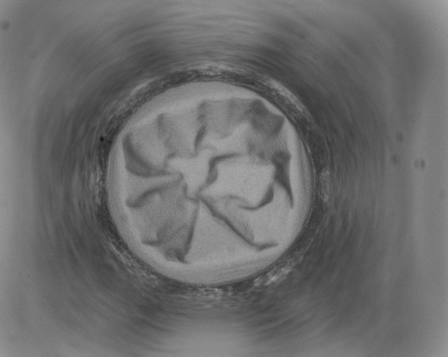 X0000082761111200702240057