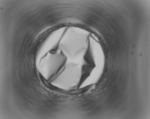 X0000082761112200702240057