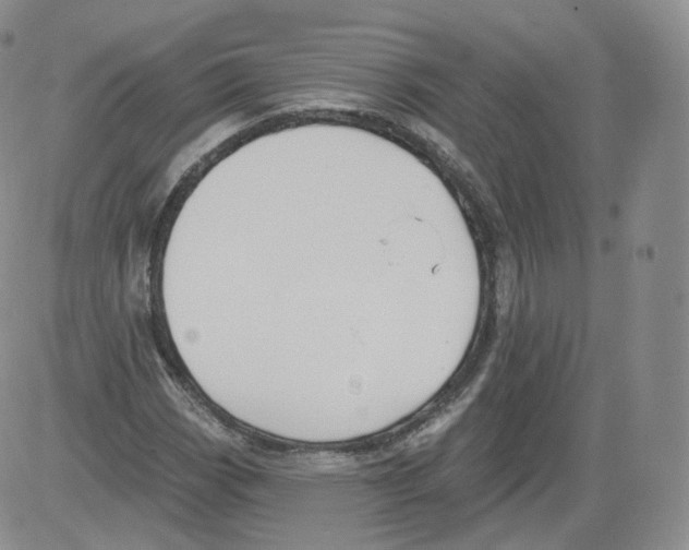 X0000082761113200702240057