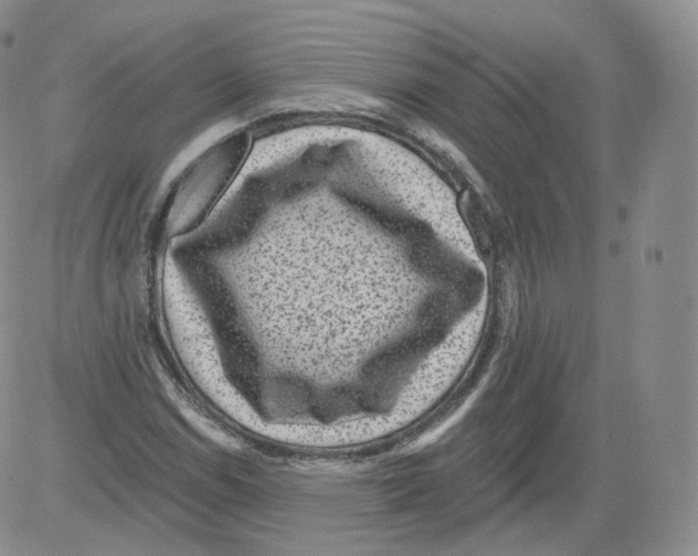 X0000082761114200702240057