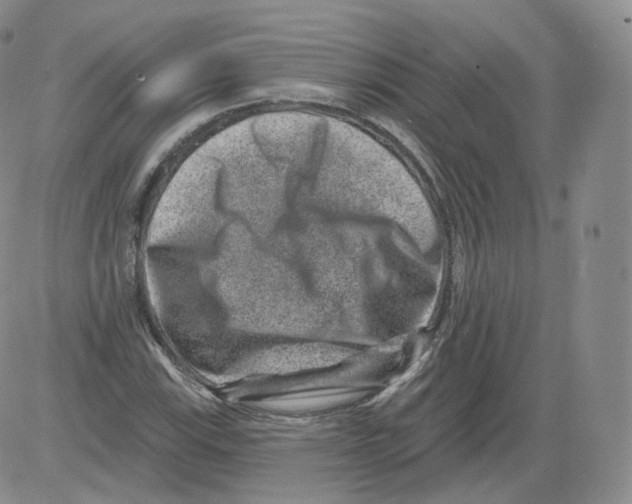 X0000082761115200702240057