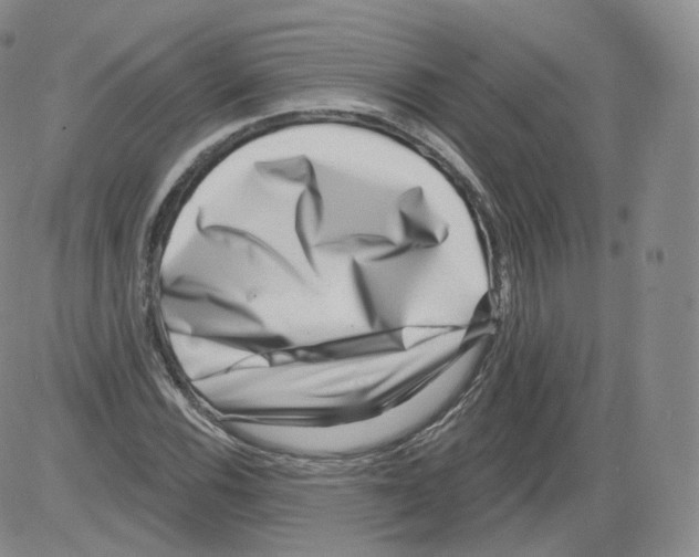 X0000082761116200702240057