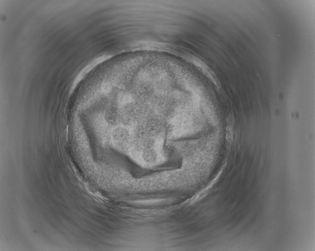 X0000082761117200702240057