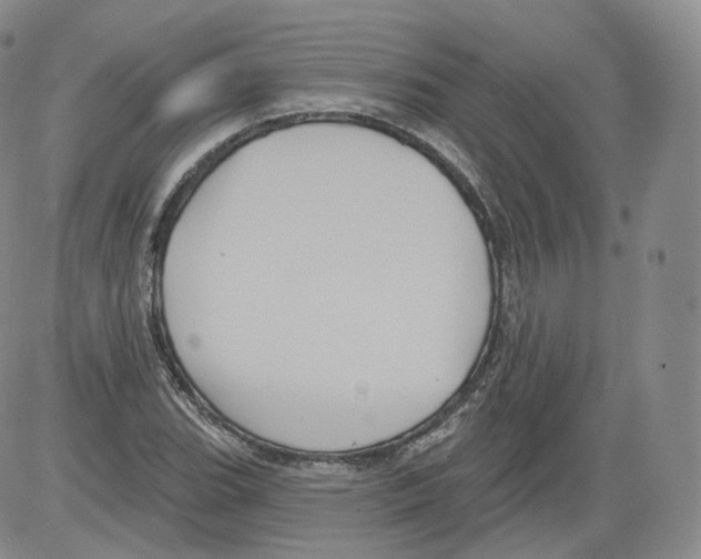 X0000082761119200702240057