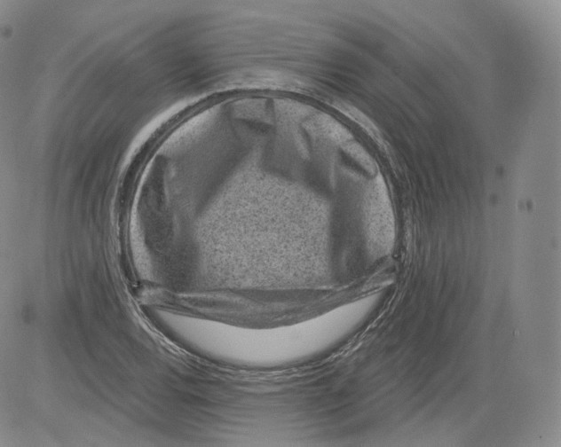 X0000082761120200702240057