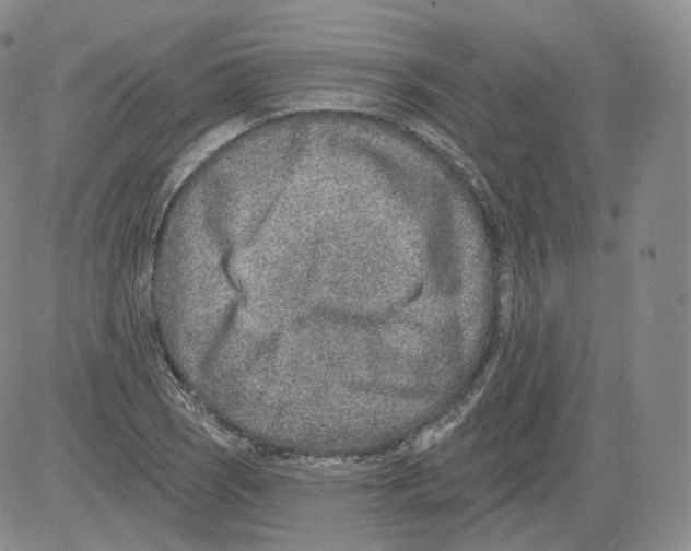 X0000082761121200702240057