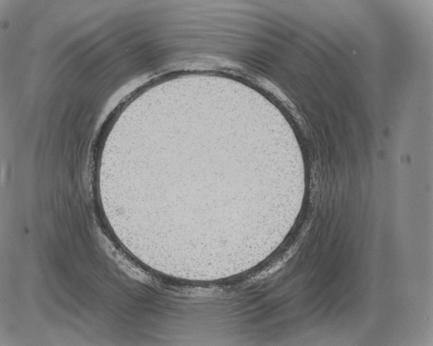 X0000082761122200702240058