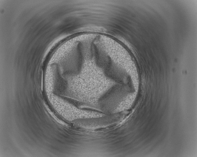 X0000082761123200702240058