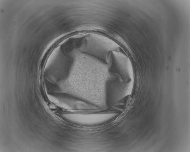 X0000082761124200702240058