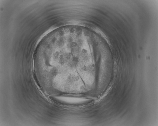 X0000082761125200702240058