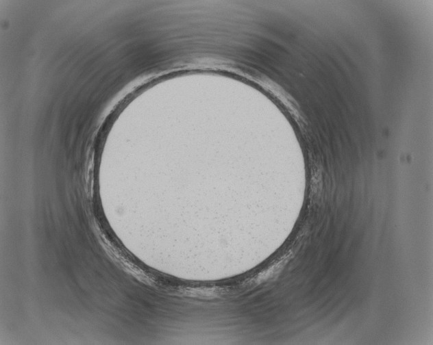 X0000082761126200702240058