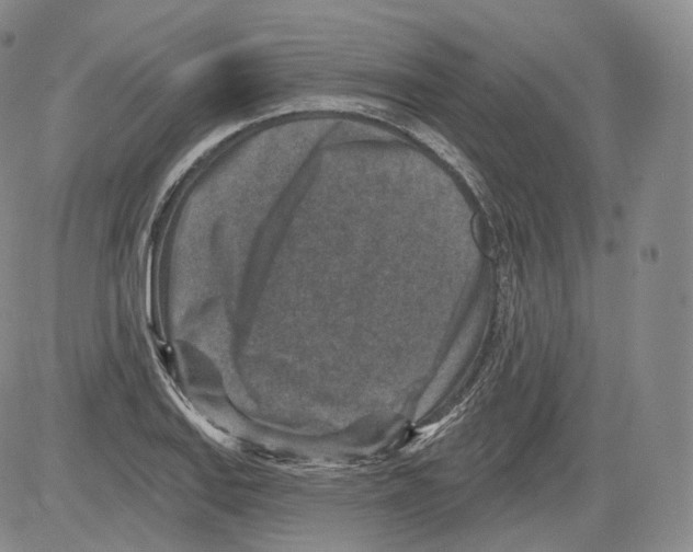 X0000082761127200702240058