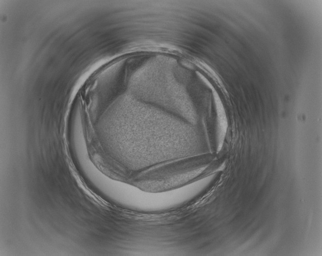 X0000082761128200702240058