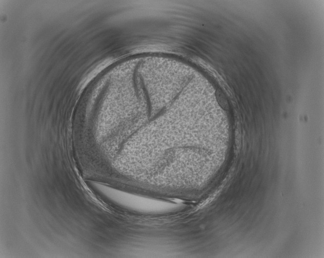 X0000082761129200702240058